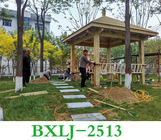 BXLJ-2513</a>